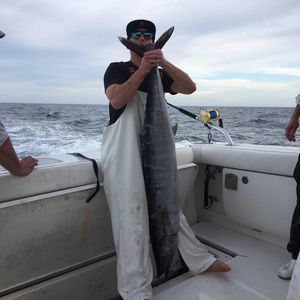 Meet your Posher, Cody